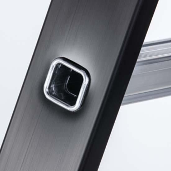 sl trap_11_1912841.jpg