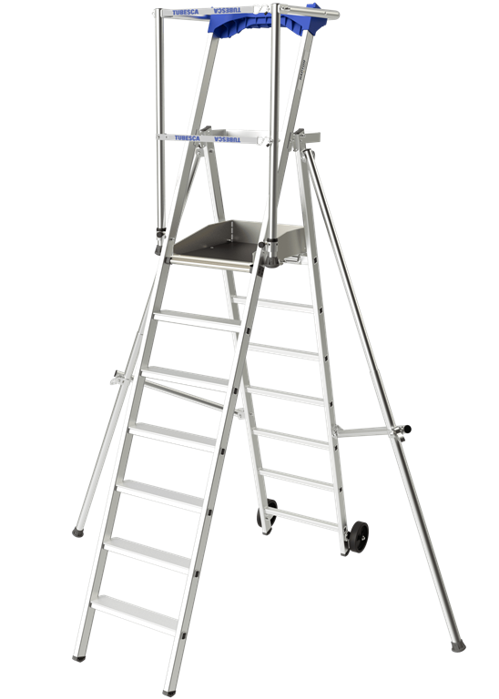 1702272187bordestrapraptor7treden