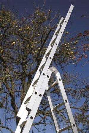 tmp_xcore_14138001121300x450