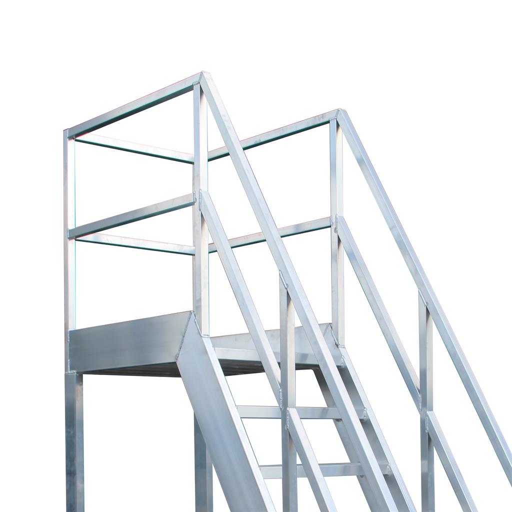 alga_bordestrap_60_4