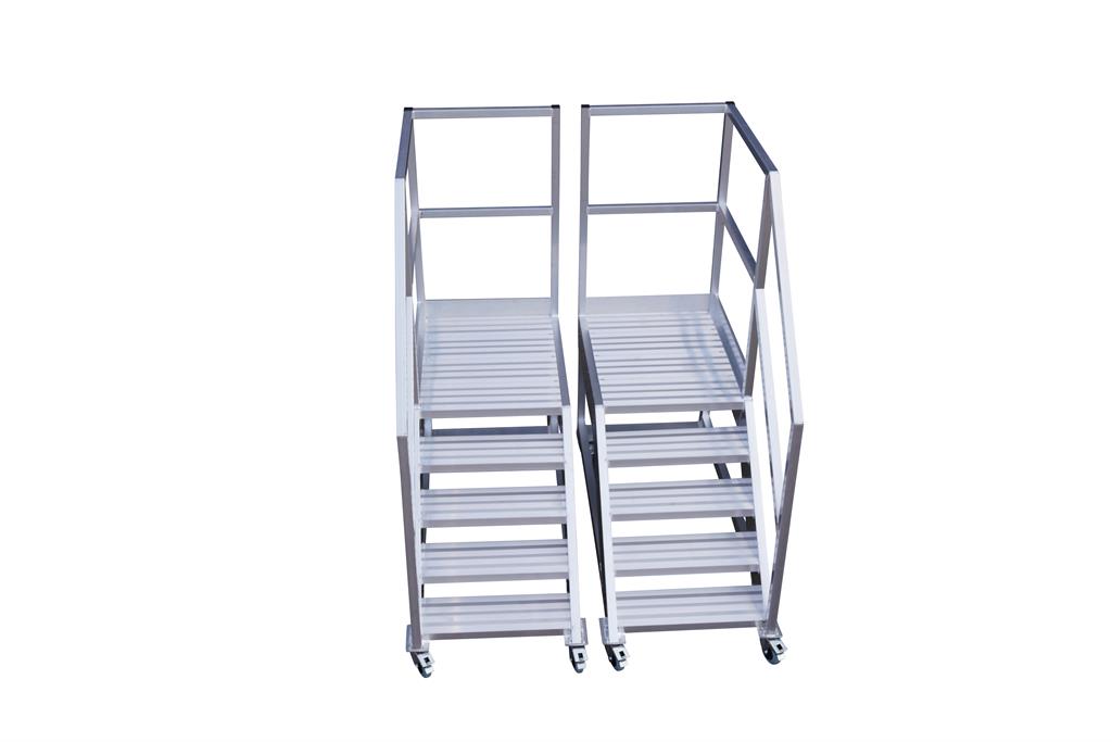 alga_bordestrap_60_6