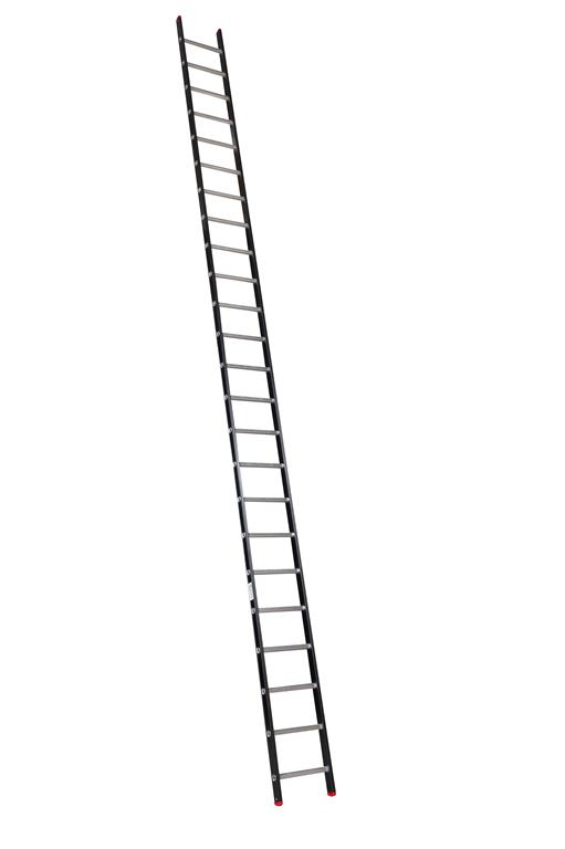 alpineenkeleladder1x24120124