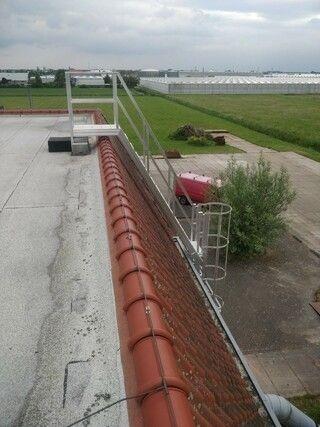 Kooiladder met aluminium dakladder - met uitstapbordes